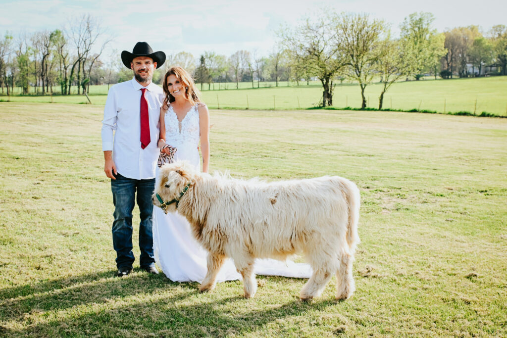 A bride in a lace wedding gown and a groom wearing a black cowboy hat stand in a grassy field with a white Highland cow.
