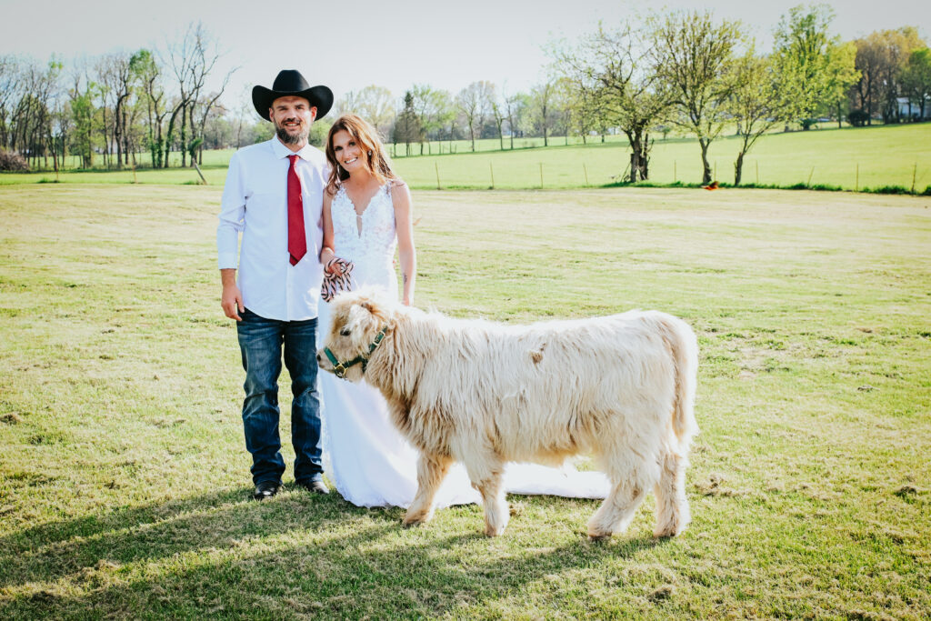 A smiling bride in a lace wedding gown and a groom in a black cowboy hat stand in a sunny field with a miniature Highland cow.