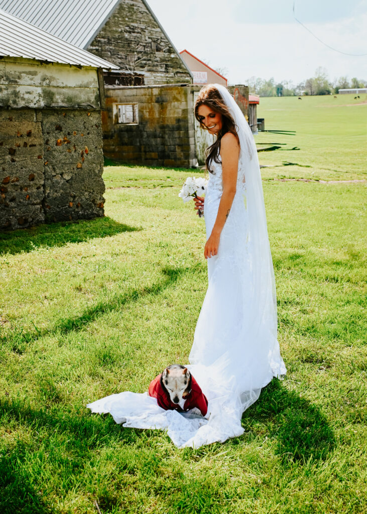 A smiling bride in a lace wedding gown with a long train stands in a grassy field while her small dog sits on her dress train.