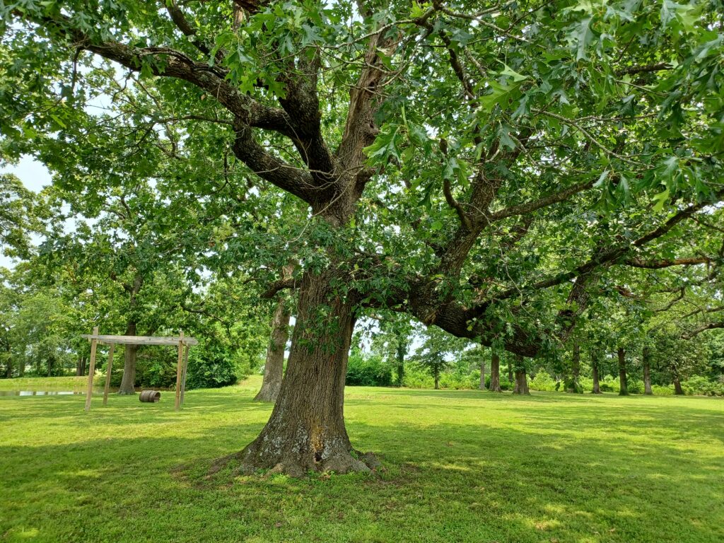 Outdoor ceremony site at Country Charm Event Venue near Joplin